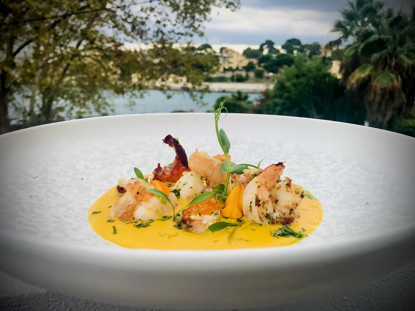 Gambas en salsa amarilla, en un plato blanco al aire libre